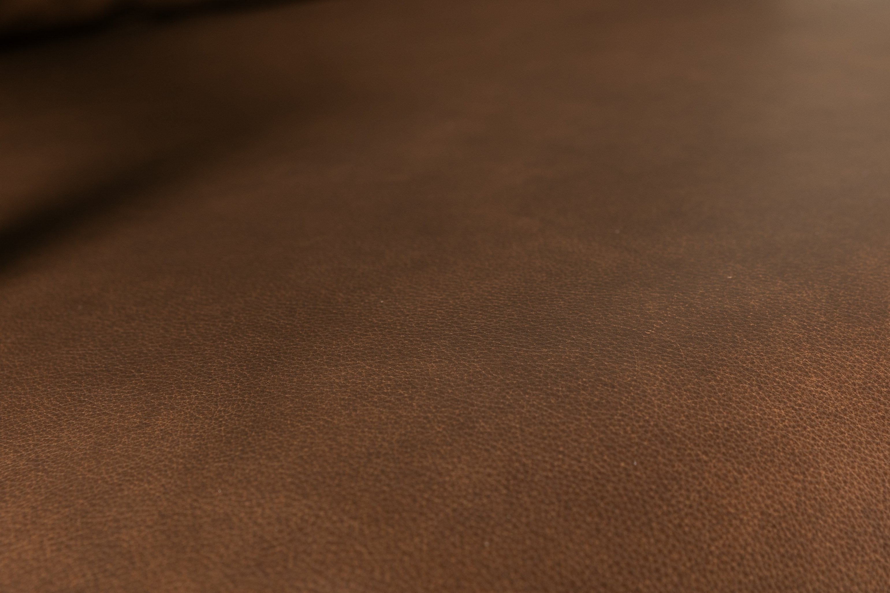 Poltrona Lucas con marco sólido de rubberwood natural, Cuero Marrón Courier. - image 4